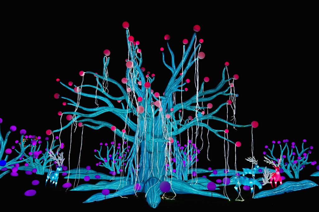 china light licht festival lichtshow show festiviteit glow evenement event chinees chinese verlichting draak dragon lichtfestival zoo